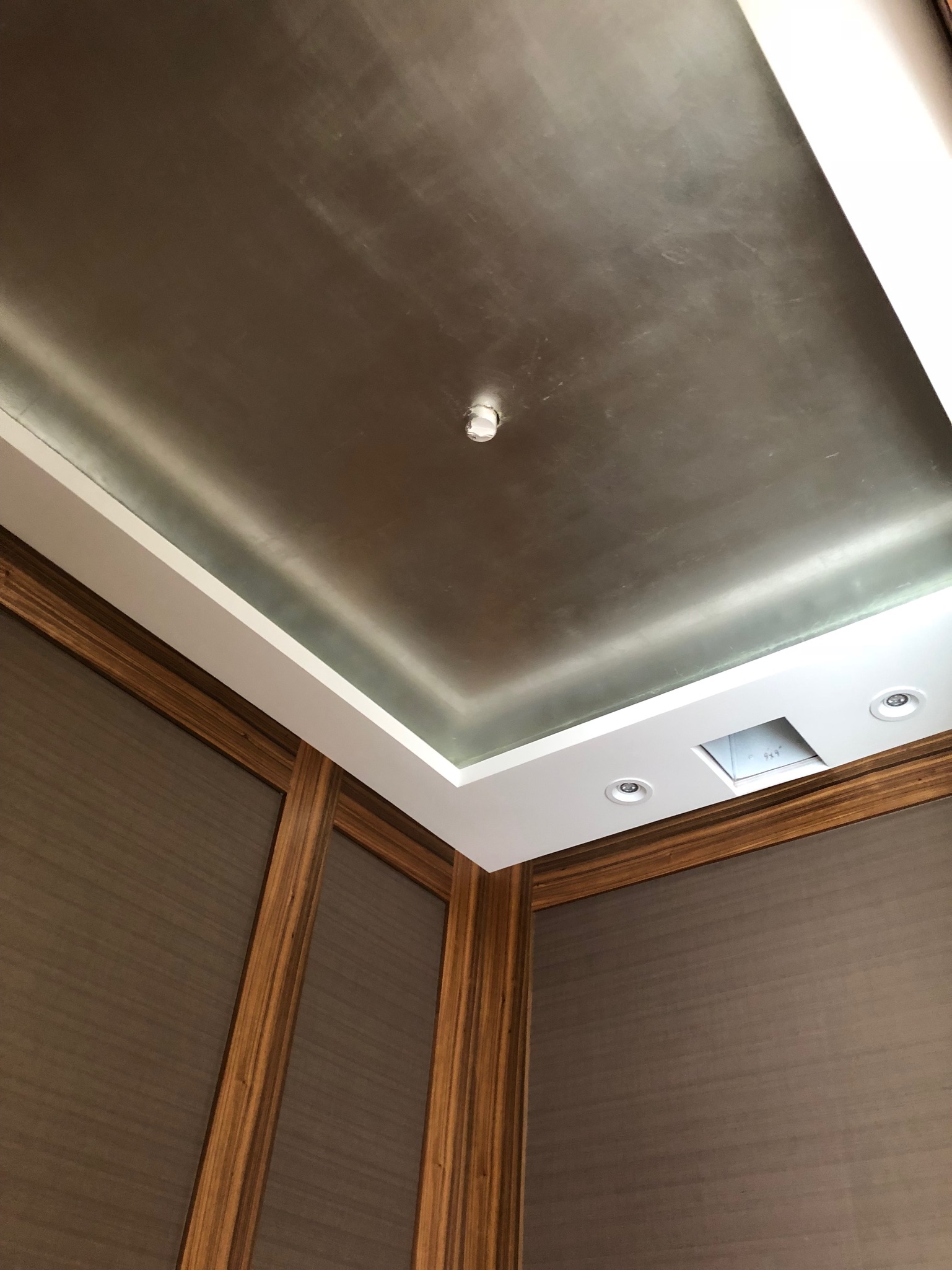 Silver Leaf Ceilings